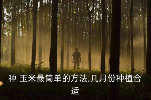 種玉米什么時候打農藥,玉米農藥什么時候打效果最好