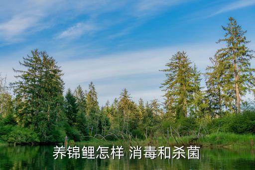 養(yǎng)錦鯉怎樣 消毒和殺菌