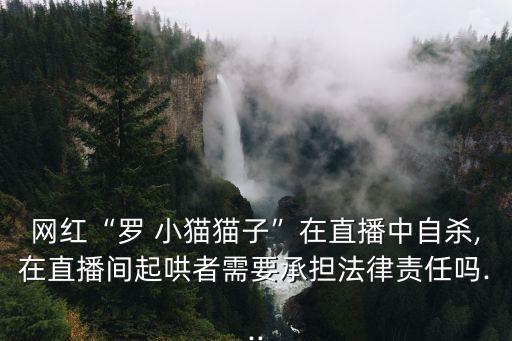 網紅“羅 小貓貓子”在直播中自殺,在直播間起哄者需要承擔法律責任嗎...