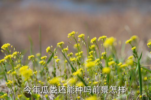 瓜蔞殺蟲(chóng)用什么農(nóng)藥,殺蟲(chóng)雙可以配什么農(nóng)藥