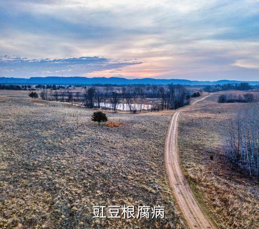 什么農(nóng)藥可治豆角莖基腐病