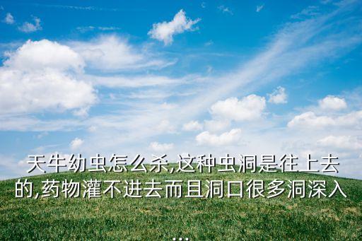 用什么農藥殺死天牛,殺死天牛幼蟲的農藥有哪些