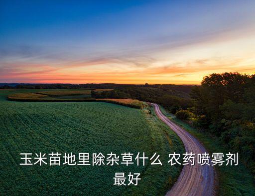 自制打玉米農藥推薦用什么