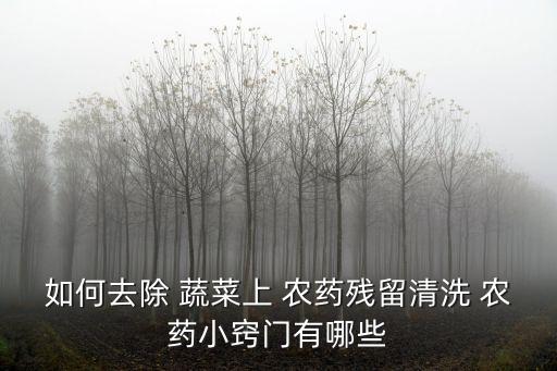 蔬菜用什么洗能洗掉農藥,蔬菜蟲卵用什么洗掉