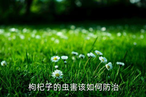  枸杞子的蟲害該如何防治