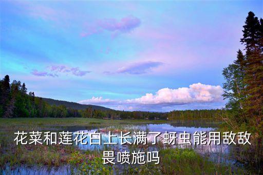 花菜用什么農藥最好,花菜和什么搭配最好吃