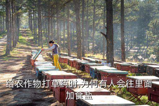 鹽為什么能去農藥,鹽水為什么去農藥