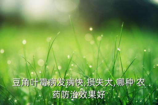 豆角葉霉病發(fā)病快,損失大,哪種 農(nóng)藥防治效果好