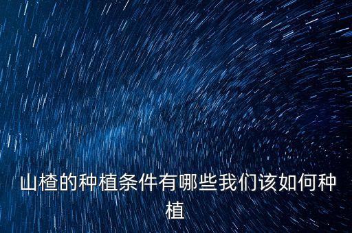 山楂的種植條件有哪些我們?cè)撊绾畏N植