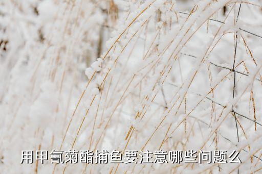 什么農藥毒鳥效果最好,毒魚用什么農藥最好