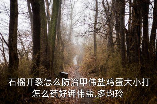  石榴開裂怎么防治甲偉鹽雞蛋大小打怎么藥好鉀偉鹽,多均玲