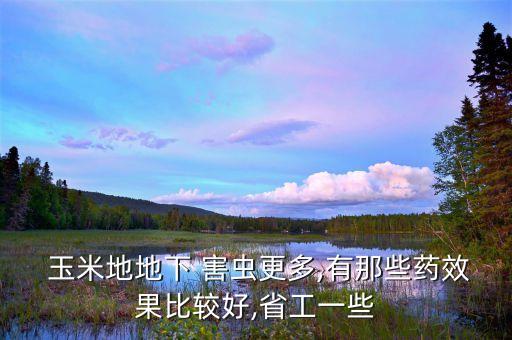打玉米地害蟲用什么農藥,玉米地都有什么害蟲