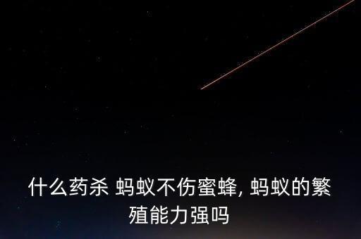 用什么農(nóng)藥殺死螞蟻,什么農(nóng)藥殺死螞蟻不會對狗有危害