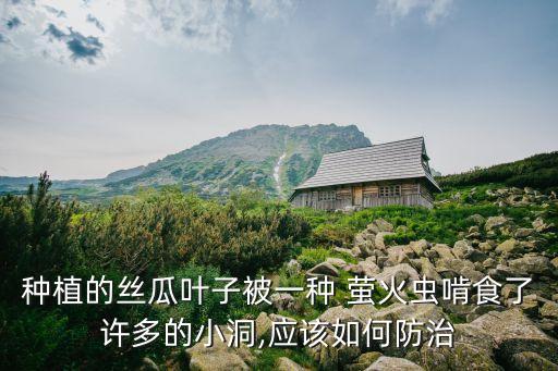 治螢火蟲用什么農(nóng)藥,螢火蟲能治什么病