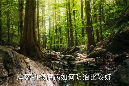 洋蔥的根腐病如何防治比較好