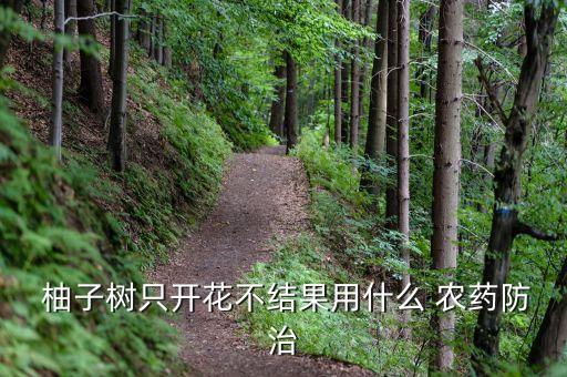  柚子樹只開花不結果用什么 農藥防治