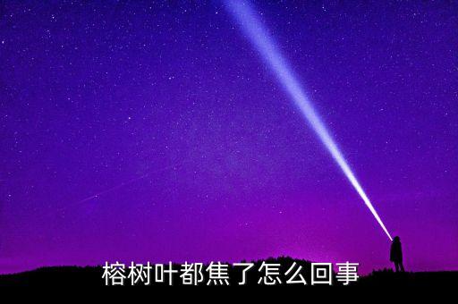 榕樹怕什么農(nóng)藥,墻上榕樹最怕什么死得快