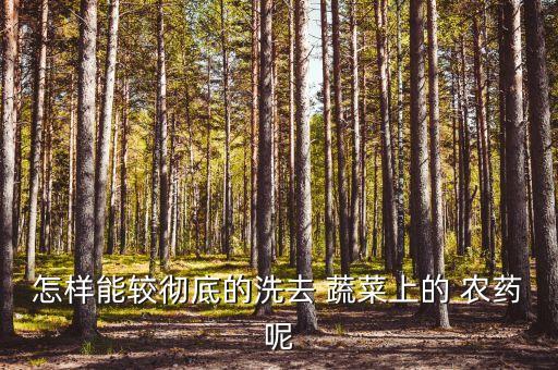 怎樣能較徹底的洗去 蔬菜上的 農(nóng)藥呢