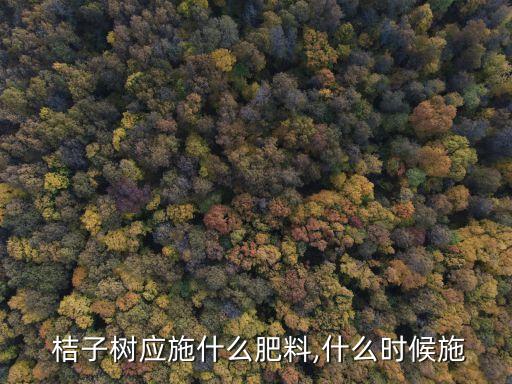 桔子用什么農藥最好,桔子和什么一起煮最好