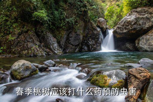 春天用什么農藥好用呢,春天小麥打什么農藥