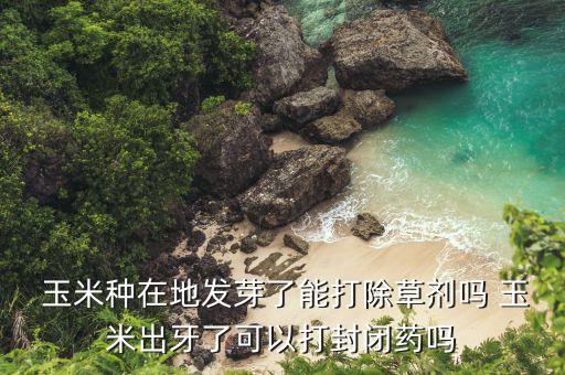 玉米芽打什么農(nóng)藥,玉米種下后需要噴什么農(nóng)藥