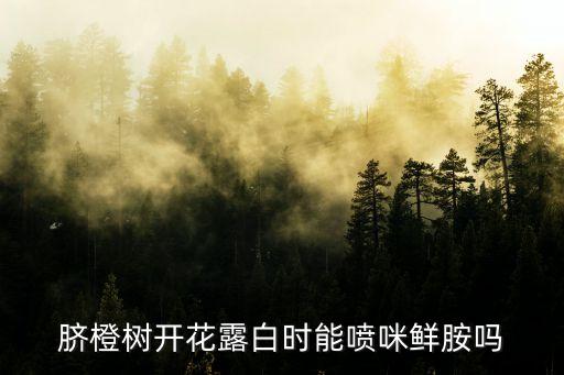 臍橙樹開花露白時能噴咪鮮胺嗎
