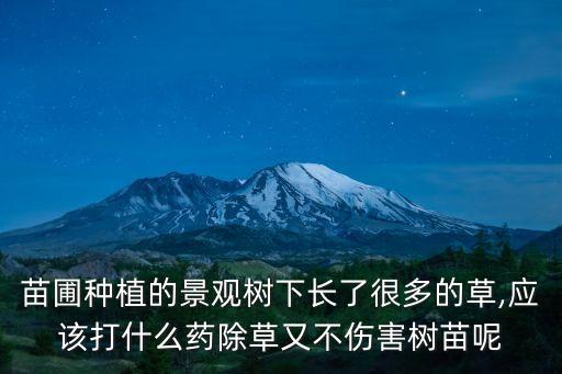 苗圃種植的景觀樹(shù)下長(zhǎng)了很多的草,應(yīng)該打什么藥除草又不傷害樹(shù)苗呢