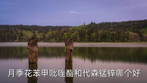 月季噴什么農(nóng)藥最好,噴農(nóng)藥什么時(shí)間效果最好