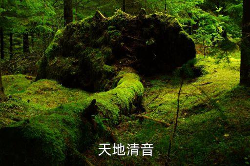  天地清音