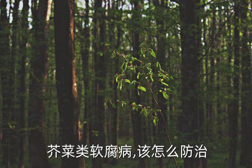 芥菜類(lèi)軟腐病,該怎么防治