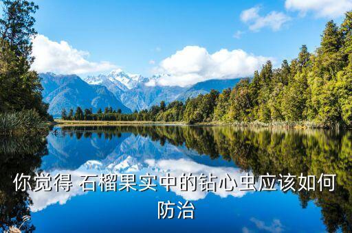 石榴掛果打什么農(nóng)藥