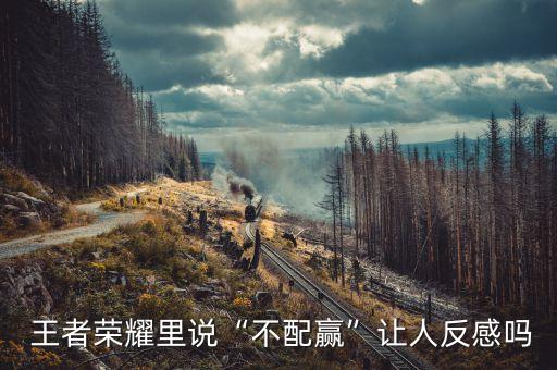  王者榮耀里說“不配贏”讓人反感嗎