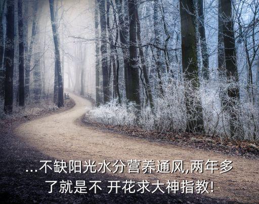 農藥什么成分使用不開花,農藥的成分用什么方法容易記