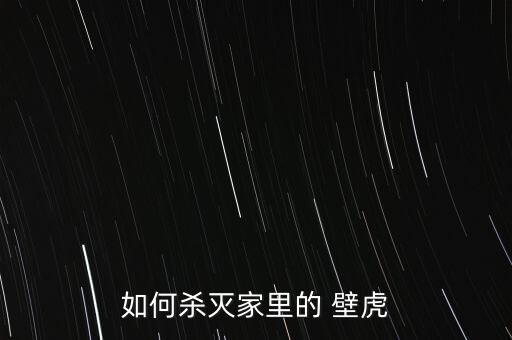 如何殺滅家里的 壁虎