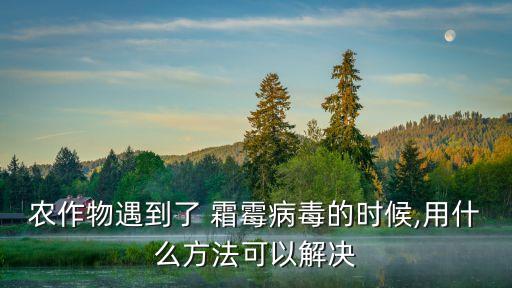 霜霉病用什么農(nóng)藥來治療,不用農(nóng)藥治療霜霉病