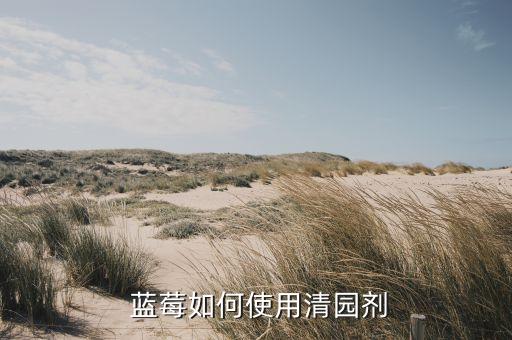  藍莓如何使用清園劑