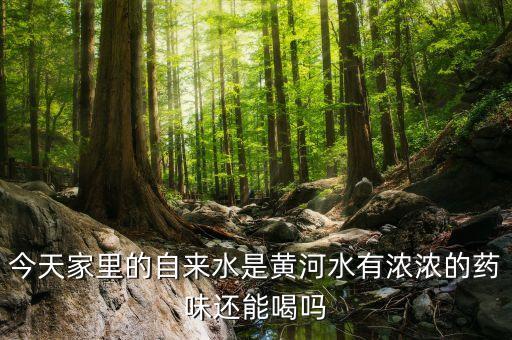 熱水為什么有農藥味,為什么房間突然有農藥味