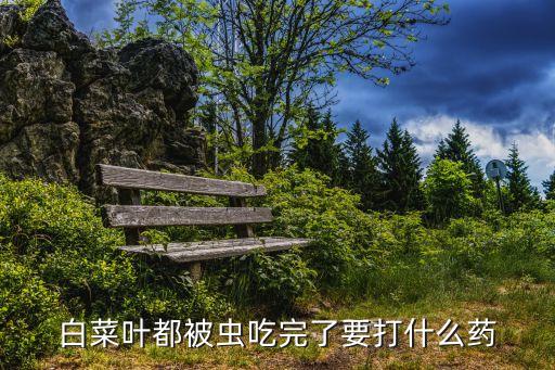 白菜葉都被蟲吃完了要打什么藥