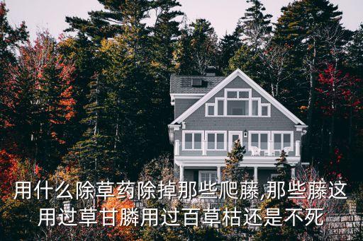什么爬藤植物不用農藥,廣東適合種什么爬藤植物