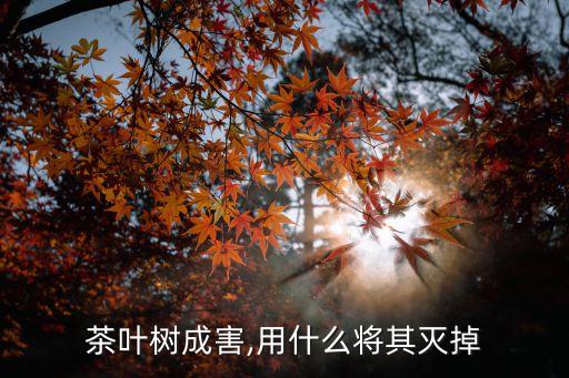 用什么農藥能把茶樹殺死,什么農藥能大量殺死蒼蠅