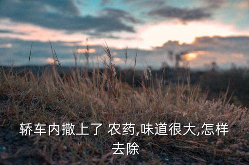 轎車內撒上了 農藥,味道很大,怎樣 去除