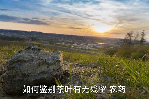 和農藥同名的茶樹叫什么,茶樹用什么農藥效果最好