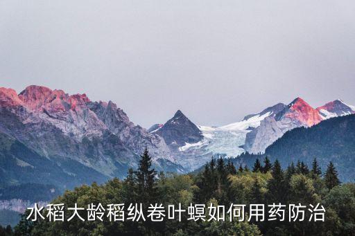 水稻大齡稻縱卷葉螟如何用藥防治
