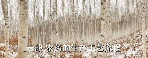 一般 農(nóng)藥的生產(chǎn)工藝流程
