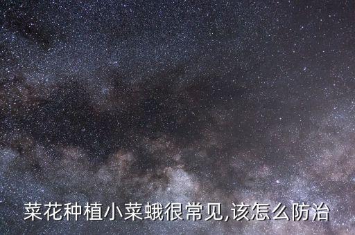 花卉飛蛾用什么農藥,花卉農藥什么品牌好推薦
