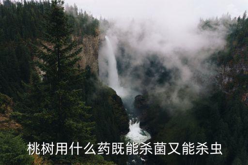  桃樹用什么藥既能殺菌又能殺蟲