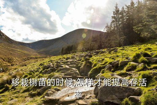 移栽苗木用什么農藥,苗木移栽什么時間最好