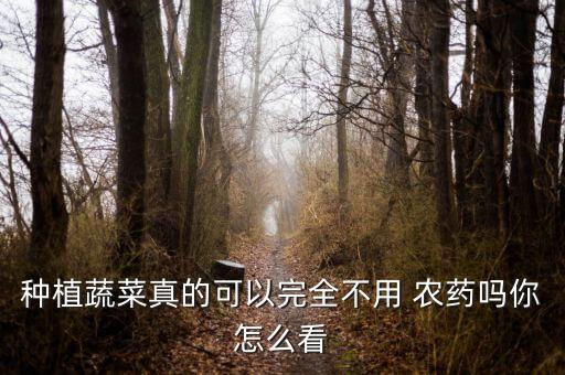 種植蔬菜真的可以完全不用 農藥嗎你怎么看