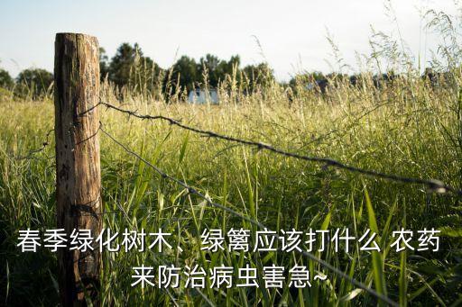 春季綠化樹木、綠籬應(yīng)該打什么 農(nóng)藥來防治病蟲害急~