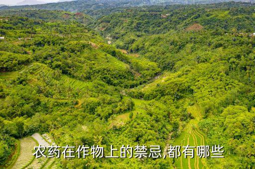 打過農(nóng)藥的人需要注意什么